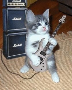 Cat la suta ? - am avut dirig ji sa zic cam 90% dirig ca ala rar - ~~Games~~