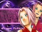 sakura anime