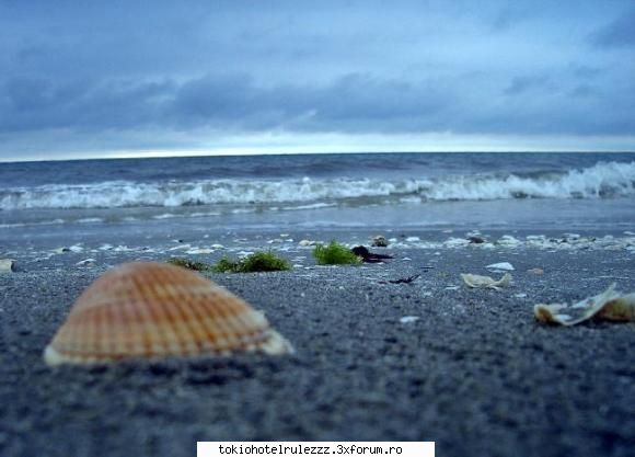poze - o poza artistik facuta de varamea la mare - Cafenea