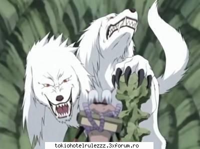 poze - ♥●�~�ΦMy_lOv3_BiLlΦ�~�●♥ - Naruto&Co