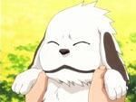 :zzz: poze
