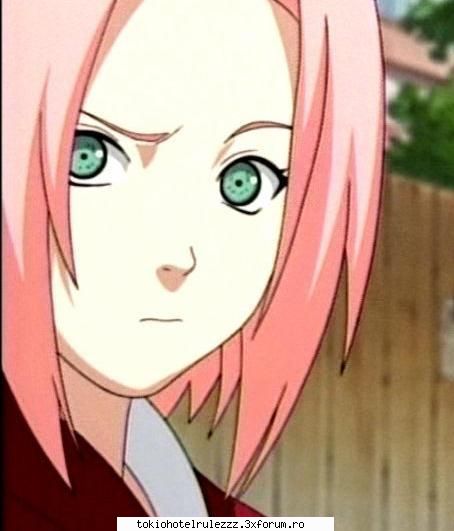 :zzz: sakura
