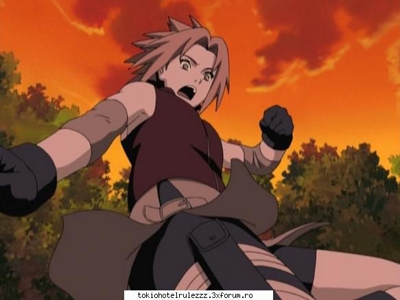 :nebun: sakura